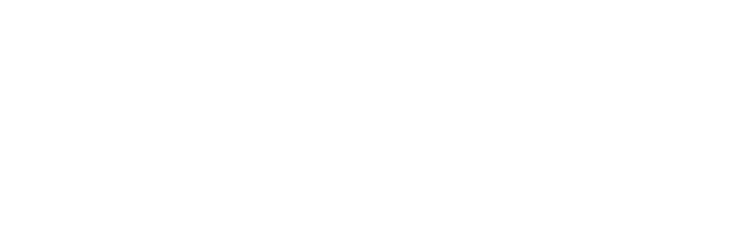 Alentec Orion Ltd